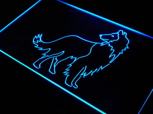 Collie Dog Pet Shop Display Gift Neon Light Sign